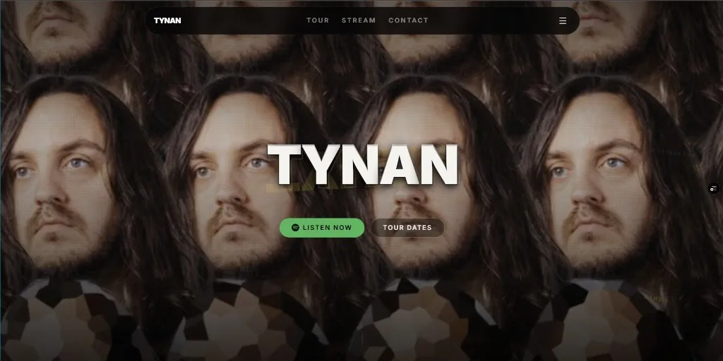 Screenshot of TYNAN Official website project
